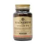 �ְ� ���׳׽� ���� ��Ÿ�� B6 100ĸ��