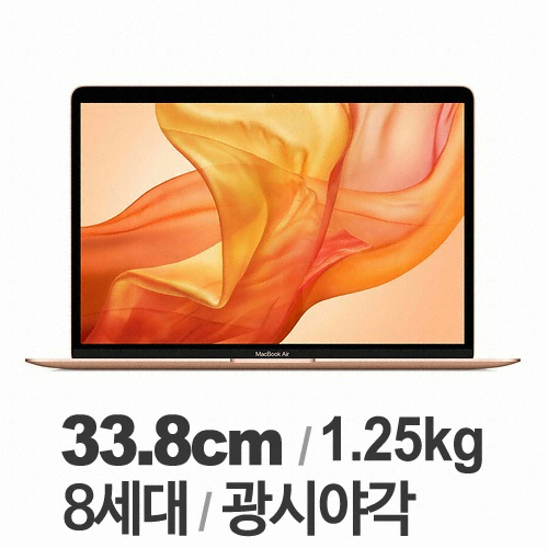APPLE 2019 맥북에어 MVFM2KH/A (SSD 128GB)