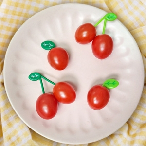 �����Ͽ콺 �������� ���ö� ������ �ٹ̱� ���ö��� ���� �ٻ����