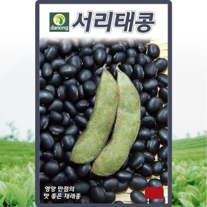다농 서리태콩 씨앗 콩 씨 재래종 종자 30g