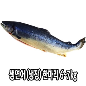 다인푸드 노르웨이 생연어 원물 6~7kg이미지입니다. 누르면 해당 게시물로 새창이동합니다.
