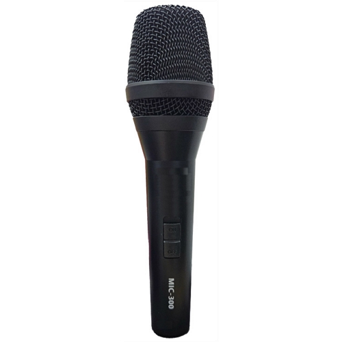 MIC-300