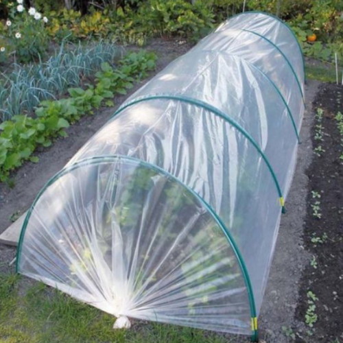 ��� ��� ���