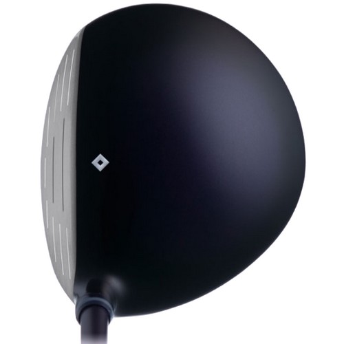 �۷κ���̵� �¿��� LP-421 ������ �����̿��