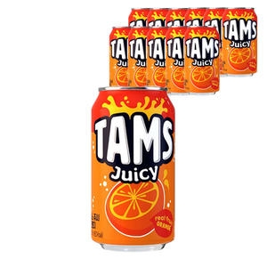 롯데칠성음료 탐스 쥬시 오렌지 355ml (12개)_이미지