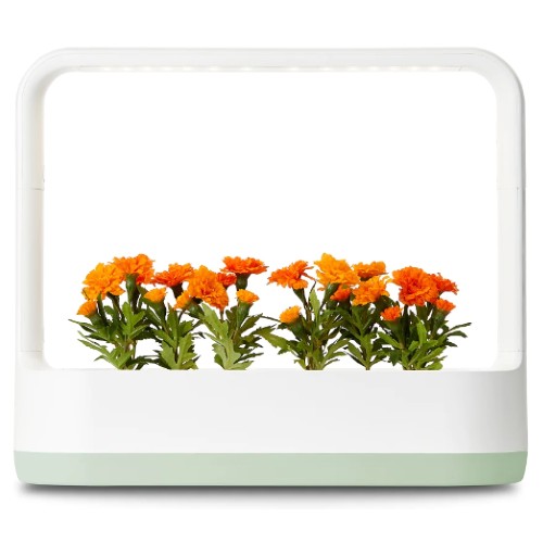 LG���� Ʒ�� �̴� L012