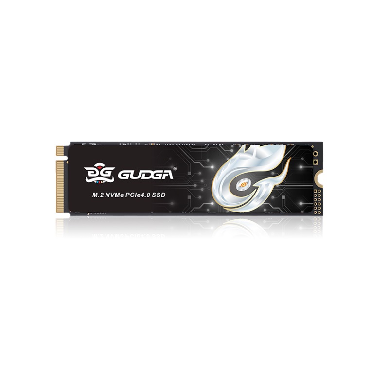 GUDGA GXF M.2 NVMe (1TB)