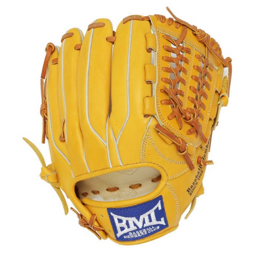 ǻ���������ڸ��� BMC INA L3 ���߼� �۷���