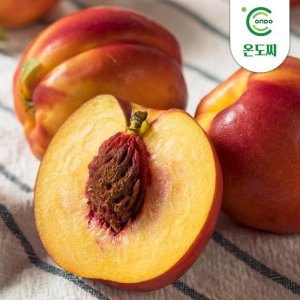 온도씨 경북 천도복숭아 2kg 대과 13-15과내외 (1개)_이미지