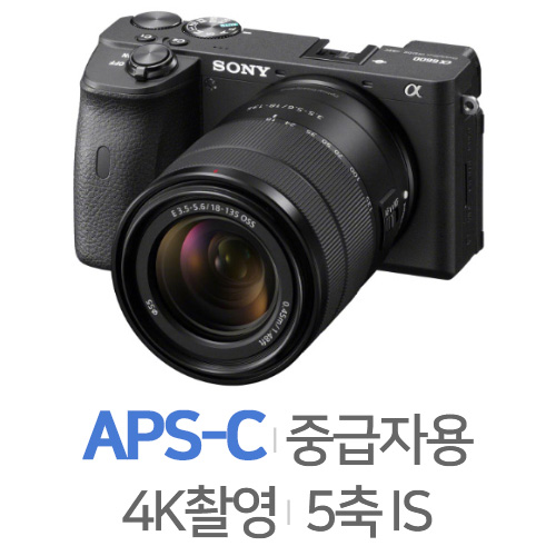 소니 알파 A6600