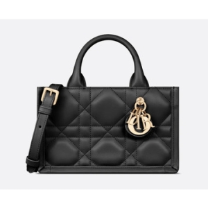 크리스찬디올 S5573OWHP 900 Book Tote 미니 백