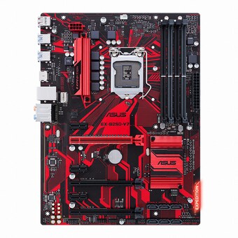 ASUS EX B250-V7 코잇