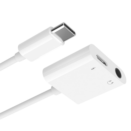 앱코 AC10 Type C to 3.5mm 2in1 변환 젠더_이미지