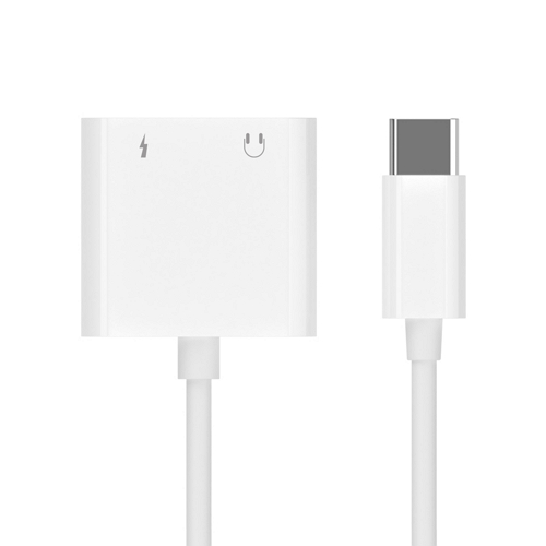 ���� AC10 Type C to 3.5mm 2in1 ��ȯ ����