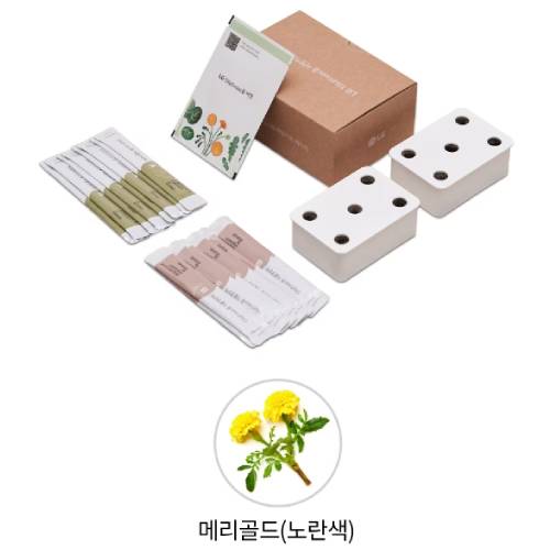 LG전자 틔운 미니 씨앗키트 패키지 메리골드 노란색이미지입니다. 누르면 해당 게시물로 새창이동합니다.