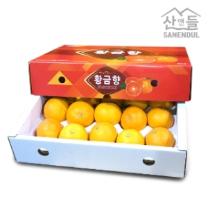 산앤들 황금향 소중과 1kg [1개]