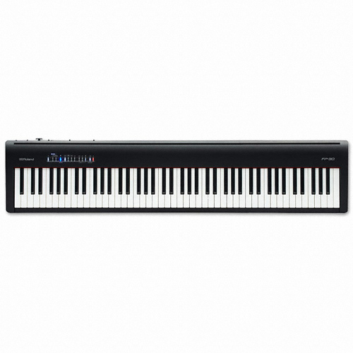 �ѷ��� FP-30