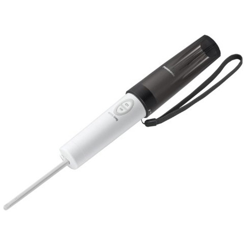 파나소닉 DL-P300