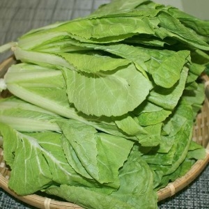 �ʿ��� ���̹��� 4kg