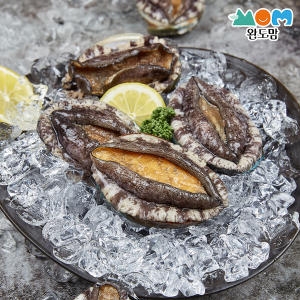 완도맘  완도 활 전복 8-9미 1kg 특대사이즈