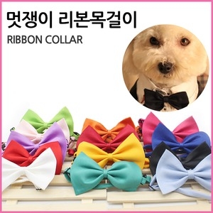 [불명] 홍이네 댕냥이 리본목걸이 보타이 고양이 강아지 목줄