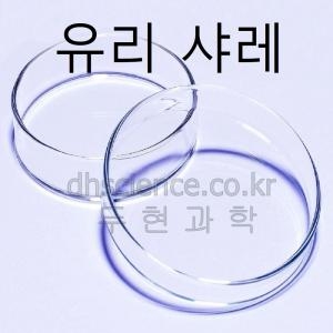 두현과학 유리샬레 접시 + 덮게 9cm 12cm 선택구매/유리 샤레 세균 배양 페트리접시