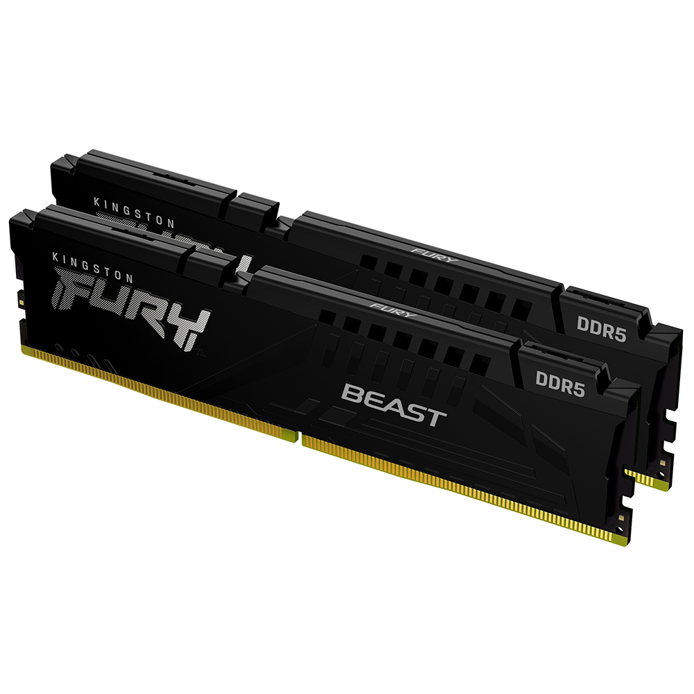 킹스톤 FURY DDR5-5200 CL40 Beast 패키지 (32GB(16Gx2))_이미지
