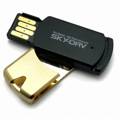 스카이디지탈 SKYDRV 스윙 SLC (2GB)