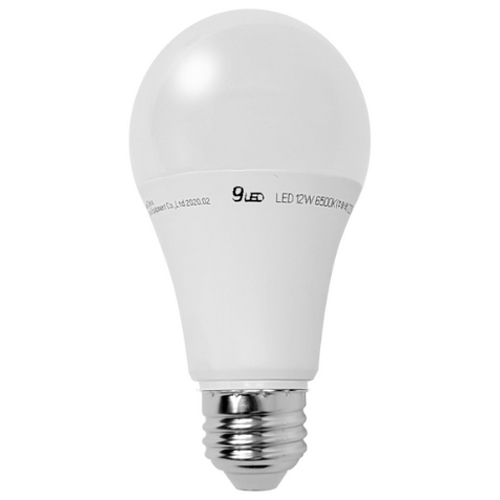 건식 LED 벌브전구 주백색 12W