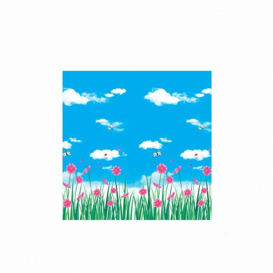 현대시트 HPG-3817 코스모스2 (1m당)_이미지