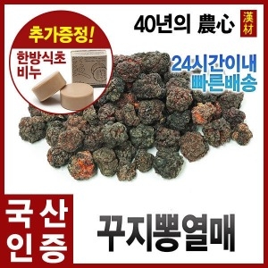 자애인 국산 꾸지뽕 열매 300g