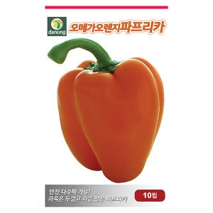 다농 오메가오렌지파프리카씨앗 (10립)_이미지