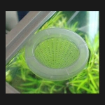 �����ƽý��� �������� �õ�¯�� ������