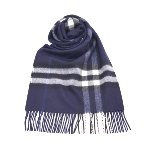 ������ üũ ĳ�ù̾� ���÷� 8015540_A1503