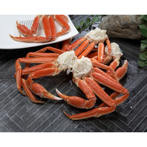 크랩투데이 프리미엄 스노우크랩 두마리반 대게 1.9kg이상이미지입니다. 누르면 해당 게시물로 새창이동합니다.