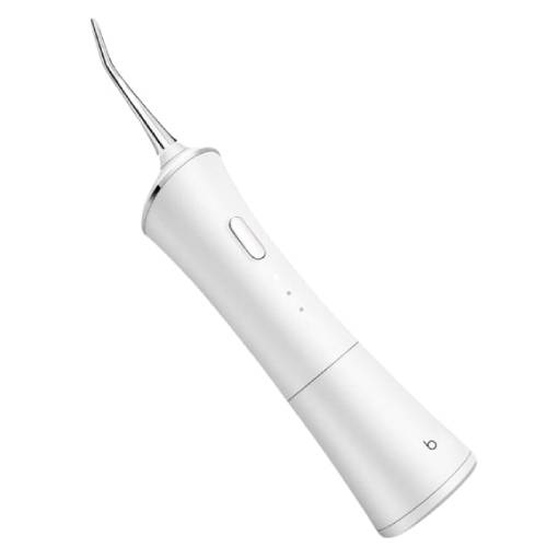 본디 화이트픽 구강세정기