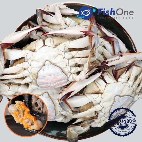 피시원 국내산 알이 꽉찬 암꽃게 급냉 1kg(5미내외)이미지입니다. 누르면 해당 게시물로 새창이동합니다.