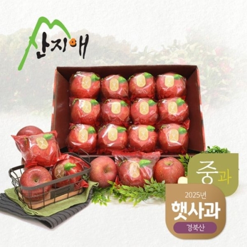 산지애 햇사과 씻어나온 햇사과 3kg 1box