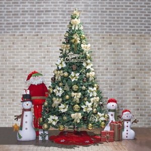 Ʈ�� ī�Ϲ� ���&���� ��īġƮ�� Ǯ��Ʈ