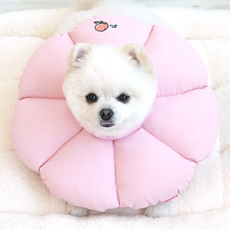 �и����� ����ī��