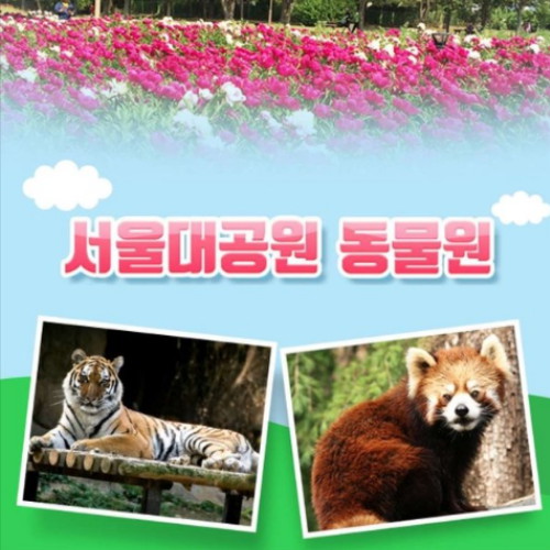 ㅤ서울대공원 동물원 입장권 (과천) (소인)_이미지
