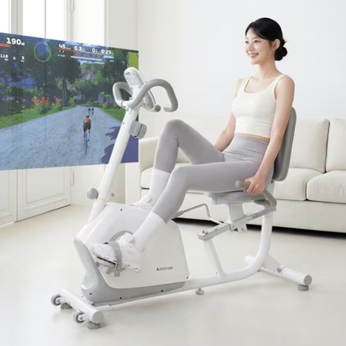 이고진 좌식 사이클 704R (일반구매)_이미지