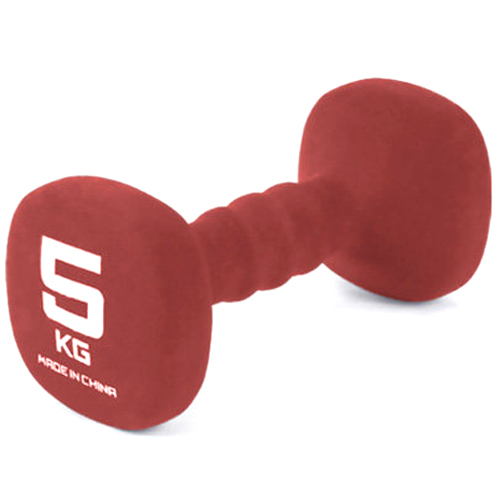 코리아스포츠 아이워너 네오프렌 사각 아령 (5kg, 1개)