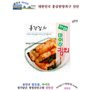 마이산김치 총각김치 1kg (1개)_이미지