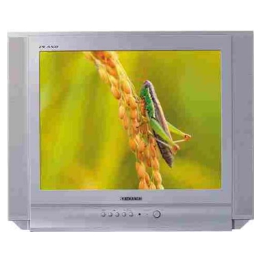 삼성전자 명품 CT-21K5G_이미지