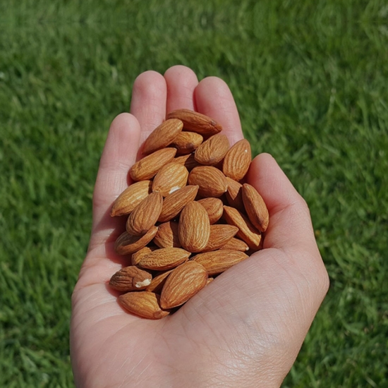 황토마을 볶음아몬드 1kg (1개)_이미지