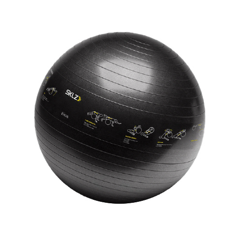 스킬즈 트레이너 짐볼 65cm