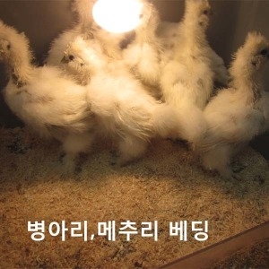 병아리베딩.메추리베딩.병아리톱밥.메추리톱밥이미지입니다. 누르면 해당 게시물로 새창이동합니다.