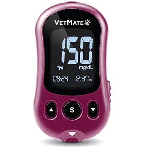 아이센스 케어센스 벳메이트 (본품, 3개)_이미지