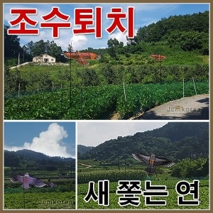 불의나라 독수리 연